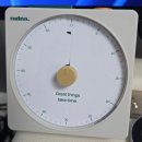 철인헬스클럽 | [월간일기] 26년 3월 (WTFS JEJU, 오사카 여행, 바운디 내한, TRANS JEJU, 히게단 영, 백넘버 내한)