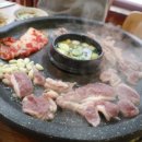 산천오리 이미지