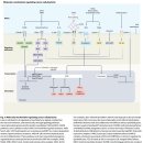 cancer plasticity 암세포 가소성으로 이해하는 암발생, 전이, 치료법 이미지