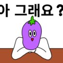 자이김밥 네이버블로그