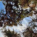 새동네 Daum카페