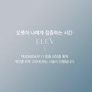 엘레브의원 이미지
