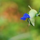 논두렁밭두렁 이미지