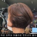 Vanity & co hair(베니티헤어)