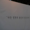 제주도화 이미지