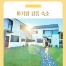 스테이허그 이미지