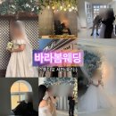 바라봄 스튜디오 : 대전 스드메 토탈샵 바라봄웨딩 추천 내돈내산 후기