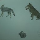 세원농장 이미지