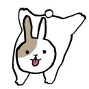 서부교회도서관 이미지