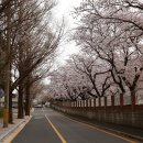 순천금당고등학교 이미지