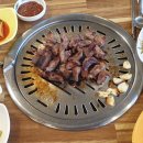 행복한 돼지 세끼