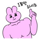 보헤미안 밥소리 네이버블로그