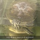 1004마라탕