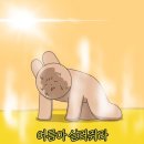 웨딩 로그 이미지