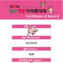 2025년 제24회 합천벚꽃마라톤 하프 완주 후기