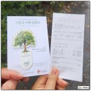 천안 아름다운 정원 화수목에서 즐기는 자연 속 힐링 여행!