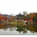 향원정 - 마포구 양화로7길 28 | 향원정