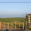 선양 목장 이미지