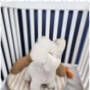 오늘도 예쁘개 이미지