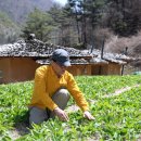 대티골계곡 이미지