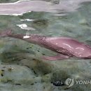 토종축산2 이미지