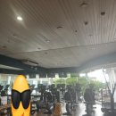 세부 한달살기 후기 ECC어학원 내부숙소 가족연수