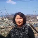 남도어린이집 이미지