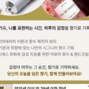 나만의 아로마테라피 천연향수 만들기
