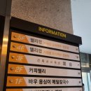 엘리팝춘천우두점