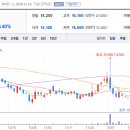 (주)팜스토리도드람비엔에프 음성 | [종목이야기] 옵티팜