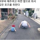 미스터피자무안점 이미지