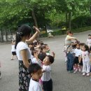 리라숲어린이집 이미지