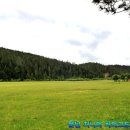 [제38차] 샹그릴라 푸다춰 국가산림공원 [DAY투어] : 운남 지니의 차마고도 여행 이미지
