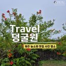 덩굴원법인 | 덩굴원 제주, 제주 능소화 명소 사진찍기 좋은 곳, 제주 덩굴원 입장료, 카페 덩굴덩굴