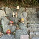 팜프라촌 이미지