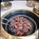 신도세기보라매 이미지