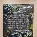 스카이헤어샾 - 화순군 | 스카이헤어샾