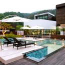 타피올라 이미지