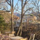 웜브리즈 이미지