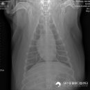 일곡동물병원 이미지