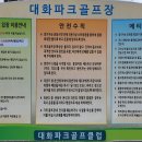 대화파크 Daum카페