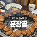 동국대한방병원.수내고교 | [일산 소고기 맛집] 훈장골 일산식사점 평일 점심특선 후기