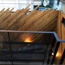 나무안에서 이미지