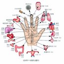 금경 이미지