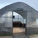 승용목장 | &lt; 대관령 양떼 목장 &gt; 강원도 여행지 추천, 한국의 알프스 대관령 양떼목장 방문 팁