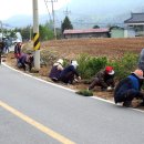 청량2리 마을회관 이미지