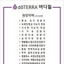아로마치유센타