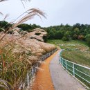 애니농장 이미지