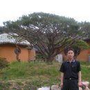 묘수농장 이미지