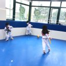 경희대호매실태권도장 이미지